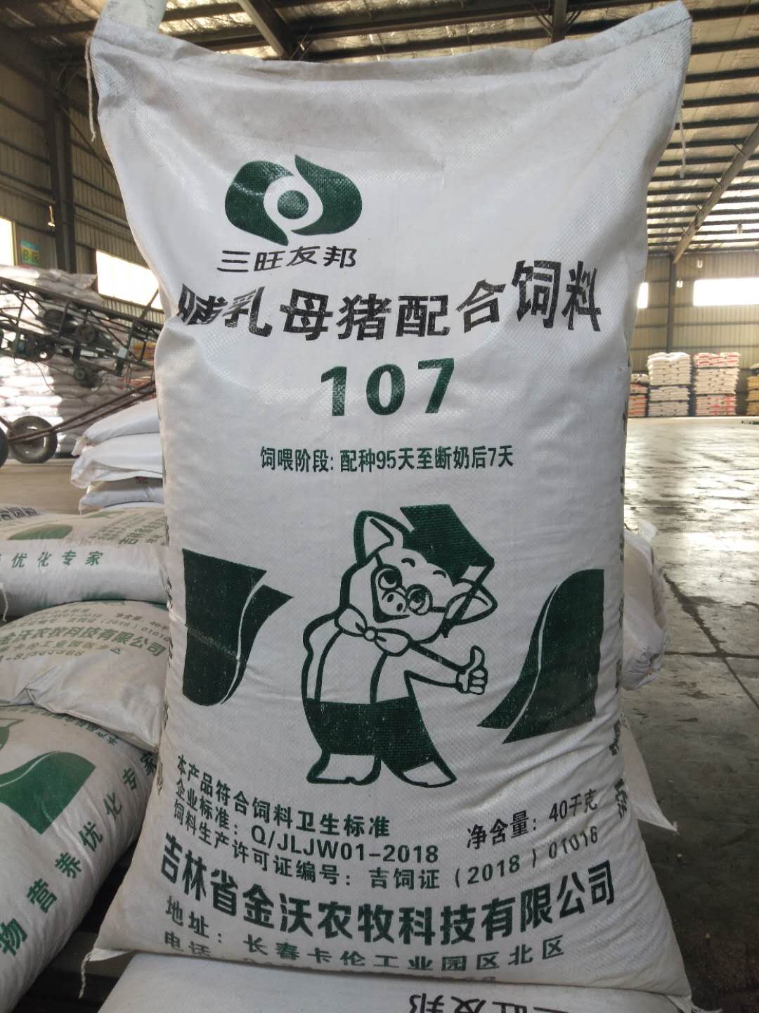 哺乳母豬配合飼料批發(fā)